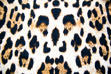 background texture leopard coloring