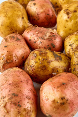 Fresh red and white potatoes isolated on white background. Background of organic food.