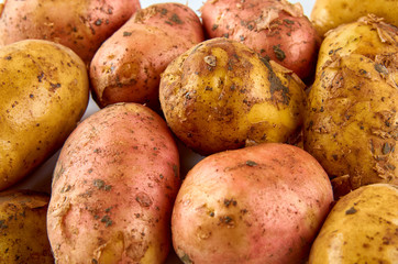 Fresh red and white potatoes isolated on white background. Background of organic food.