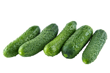 Fresh cucumbers isolated on white background. Background of organic food.