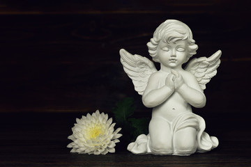 Guardian angel and white flower
