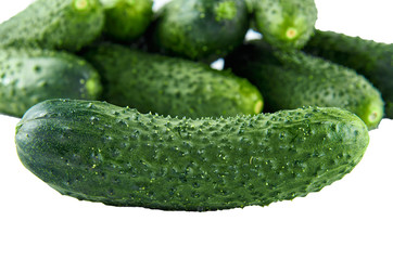 Fresh cucumbers isolated on white background. Background of organic food.