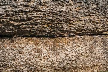 Sediment stone rock surface closeup as natural stone background