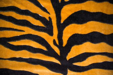 background texture coloring tiger skin