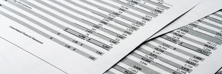 Balance sheet in stockholder report book, accounting balance sheet