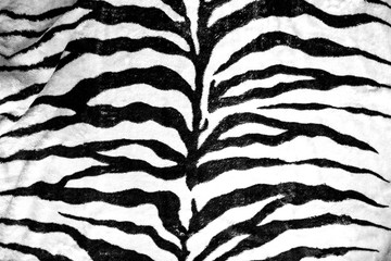 background texture coloring zebra skin