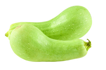 Fresh zucchini isolated on white background. Background of organic food.