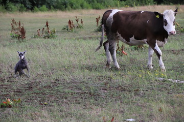 Przyjaźń © Maciej