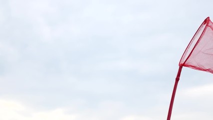 Butterfly net for catching butterflies against the sky