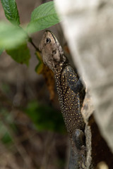 Annapurn circuit Nepal in October 2018 