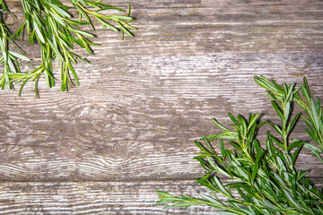 Green rosemary closeup. Top view of rosemary in wooden background
