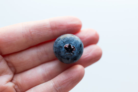 Close-up Of Single Blueberry In A Hand