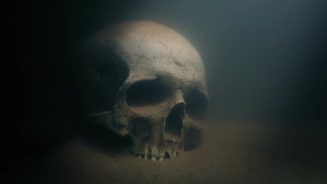 Diver Shines Torch On Skull UnderWater