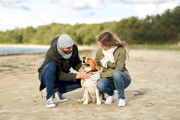 pet, domestic animal and people concept - happy couple with beagle dog on autumn beach