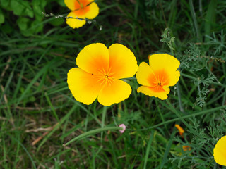 Fototapeta premium OLYMPUS DIGITAL CAMERA