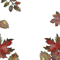 Hand drawn floral botanical watercolor illustration of a single set frame leaf branch isolated. Autumn, fall, leaf fall. Tanksgiving day, harvest.