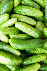 Fresh green young cucumbers