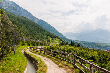 Algund, Waalweg, Vinschgau, Apfelbäume, Obstplantagen, Wanderweg, Südtirol, Sommer, Italien