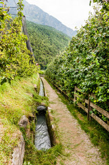 Algund, Waalweg, Wasserversorgung, Wanderweg, Obstplantage, Äpfel, Vinschgau, Südtirol, Sommer,...