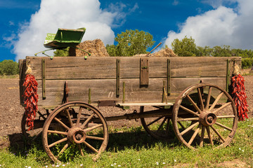 old wooden wagon © Tom
