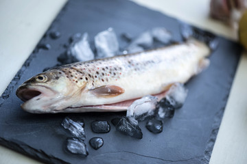 Raw fresh trout on the wooden table in pieces of ice.