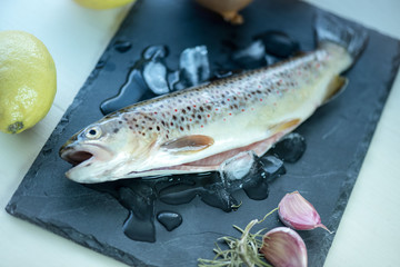 Raw fresh trout on the wooden table in pieces of ice.