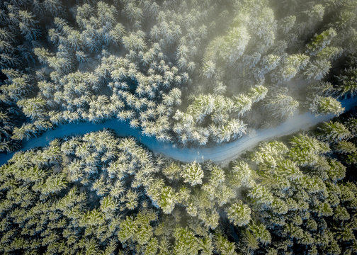 Winter road in the snowy forest from above