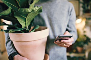 Midsection of man holding potted plant while text messaging on mobile phone at home
