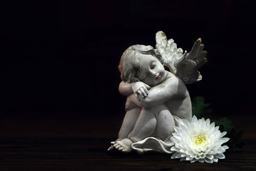 Angel and white flower on dark background