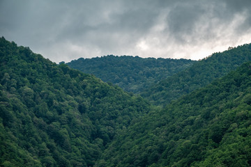 High mountains with forested slopes and peaks hidden in the clouds.