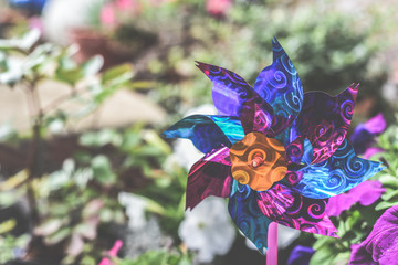 Child's toy windmill in garden or yard, colourful toy in a home garden flower bed