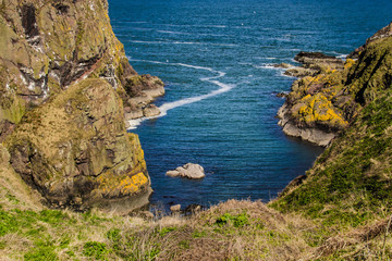 Fototapeta premium Longhaven Cliffs in Buchan. Peterhead, Aberdeenshire, Scotland, UK