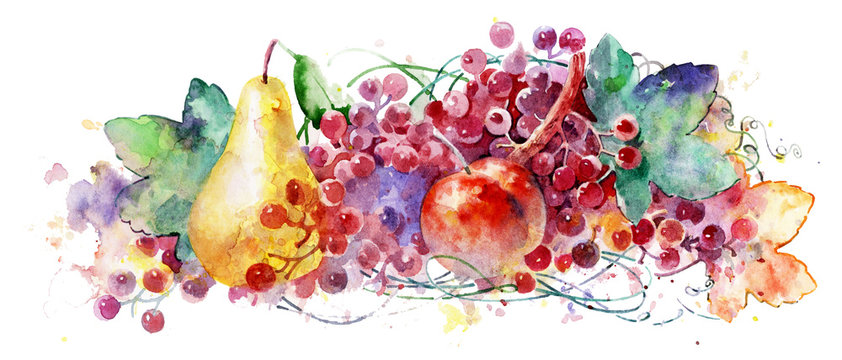Beautiful watercolor fruit on a white background. Beautiful ripe fruits. Colorful illustration.