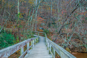 Boardwalk trail at the river