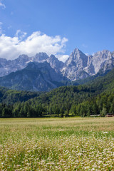 gorgeous view of moutain Spik in Julian Apls