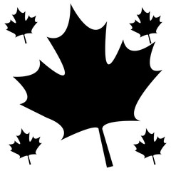 pattern of leafs maple canada