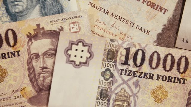 10000 Hungarian Forint banknotes, The banknote of tizezer forint features the portrait of King St. Stephen, Grand Prince of the Hungarians.
