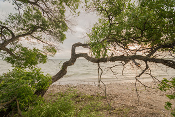 a cloudy day sea beach picture with a clear reflection of clouds in water and beach stones in the foreground makes it look stunning cool beach picture