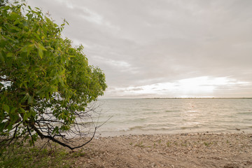a cloudy day sea beach picture with a clear reflection of clouds in water and beach stones in the foreground makes it look stunning cool beach picture