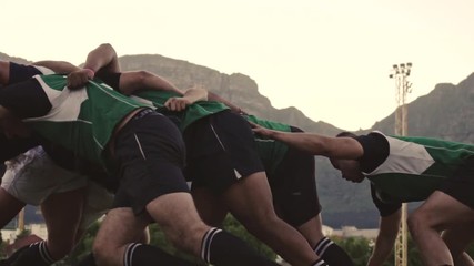 Rugby players doing a scrum at the field. Rugby players fight for the ball on professional rugby stadium.  - Powered by Adobe
