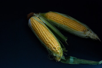 Yellow sweet raw corn on a black background close-up