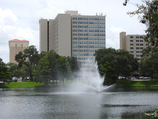 A Fountain in a Lake with buildings in the background in Orlando in Florida!