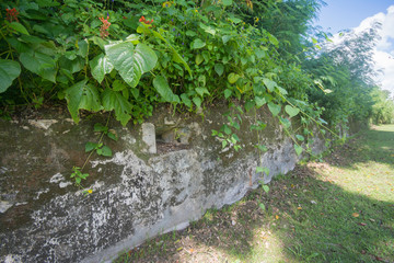 Fototapeta premium Concrete Bunker, Peleliu Island in Palau. War ruins, the battle was fought between the U.S. and Japan during World War II.