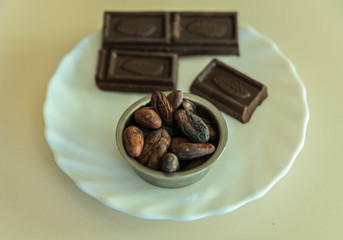 chocolate with bean cacao