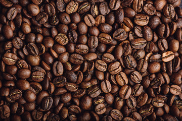 Fresh roasted coffee beans