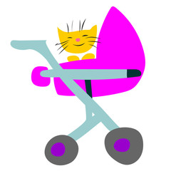 funny kitty in a pink stroller