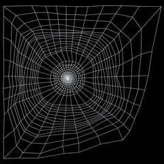 Spider web 3d illustration isolated on the black background