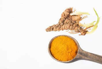 Curcuma longa - turmeric root and powder. Text space