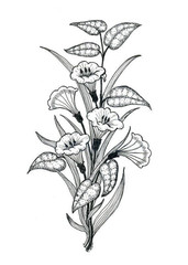 Flowers drawing with line-art on white backgrounds.