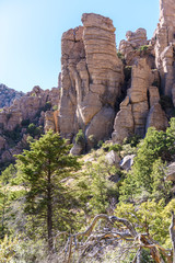Organ pipe formation or hoodoos at Chiricahua National Monument in Southeastern Arizona is an area...